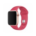 Deluxe Series Sport Band...